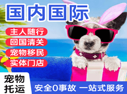 伊春航空货运国际宠物托运 【国